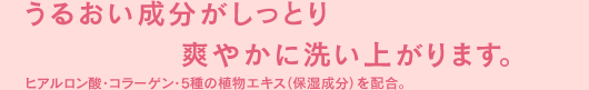 うるおい成分がしっと爽やかに洗い上がります。ヒアルロン酸・コラーゲン・5種の植物エキス(保湿成分)を配合。